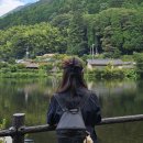 한일부분정비 | [25.9.26후쿠오카] 히타-삿포로맥주공장-유후인-가마도지옥 내돈내산 버스투어 후기🚍(유투어)