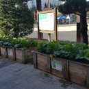 수완초등학교 이미지