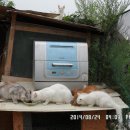 우리농장1 이미지