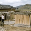 옛날국수 이미지