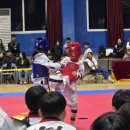 성북체육관 (태권도) 이미지