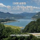 금성면사무소 | 위고고 제천점 글램핑 제천 청풍호 뷰 내돈내산 솔직후기
