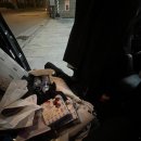 삼단지농장 | 양들의 침묵은 모순입니다 양들의 하울링입니다