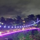 사계진미제주시청점 이미지