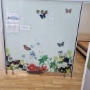 남호초등학교 이미지