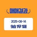 토탈하이테크
