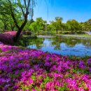 용산가족공원 이미지