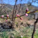 범골농장 이미지