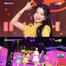 쥬리비디오 이미지