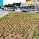 화순읍행정복지센터 이미지