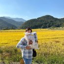쌀발효 공방 미화가 이미지