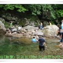 쌍계초등학교 이미지