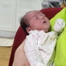 강동구 산후도우미 사임당 5주 이용후기