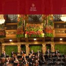 2020 신년음악회 이미지