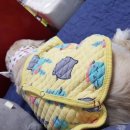 몽몽이# 이미지