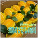 성주농장 | 고씨네농장 성주참외 5kg 로얄과 후기｜당도 높은 여름 과일 선물세트 추천