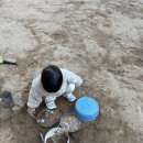 전남과학대학보육교사교육원부설어린이집 | 26년 부산대 부설 어린이집 입소