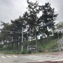 홀스타인 빌리지 | 고창 상하농원 파머스빌리지