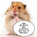 진지내6길 | 웨딩홀 투어 후기 #1