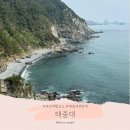 풍경-04 | 부산 태종대 해녀촌 다누비열차 방문 후기