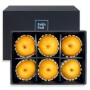 원더랜드 이미지