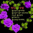 주말엔 이미지