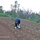 천전시장 이미지