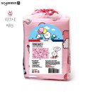 모닝글로리 이미지