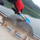 달월 낚시터 이미지