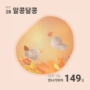 [임신일기] 임신 17-19차 일상기록 / 난임병원 졸업 / 양수검사 결과발표