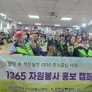 서구자원봉사센터 이미지