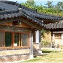 출렁다리민박 Daum카페