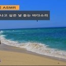 강릉 안목해변 송정해변 강문해변 영상 파도소리 (ASMR) 이미지