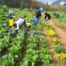 광역농장 이미지