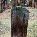 기응세선생묘 이미지