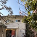 늘포레 | [진한크림이 인상적인 카페] 대부도 데이트 코스 추천: 숨겨진 숲속 카페 늘포레 with 그라츠커피랩