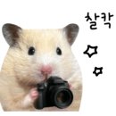 범일로102번길 이미지
