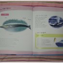 [연두아기자연] 집짓기선수비버, 물위에둥둥해달, 커다란고래 이미지