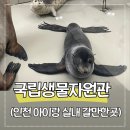 채움 | 인천 아이랑 실내 나들이 국립생물자원관 생생채움 후기