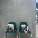 남문동물병원 이미지