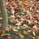 입곡군립공원(주차장옆) 이미지