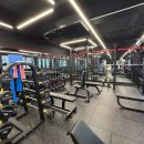 팀하드 피트니스 이미지