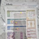 [시너지 전신6주] 시너지 체질개선 내돈내산 후기
