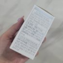 지노와 이미지