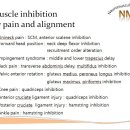 Muscle inhibition by pain and alignment 이미지