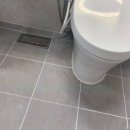 에일린에이 이미지