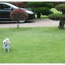 향림원 펜션 이미지