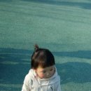 송산 3.1기념공원 이미지