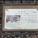 정배산 티스토리