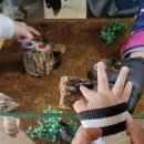 원주곤충마을박물관 이미지